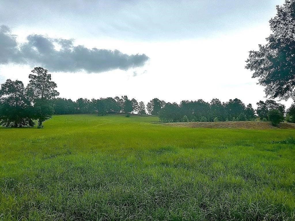24 acres in Cherokee County - photo 24