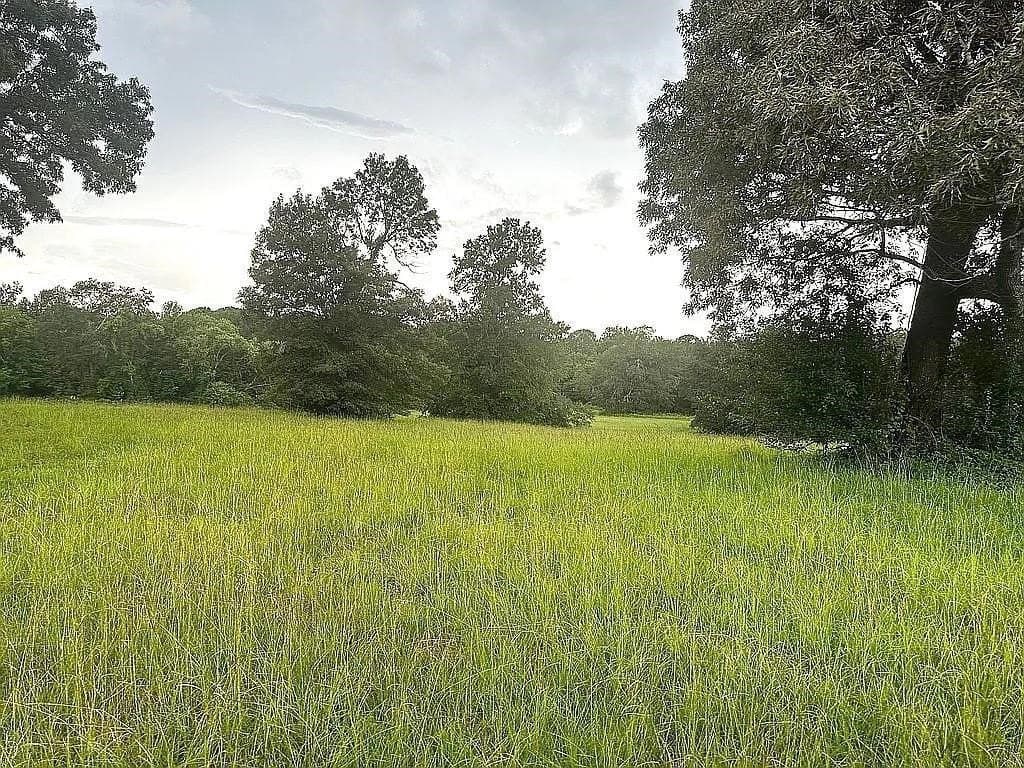 24 acres in Cherokee County - photo 21