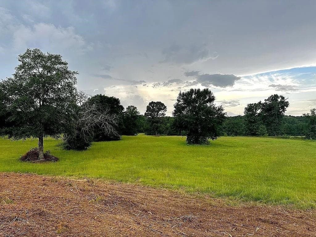 24 acres in Cherokee County - photo 10