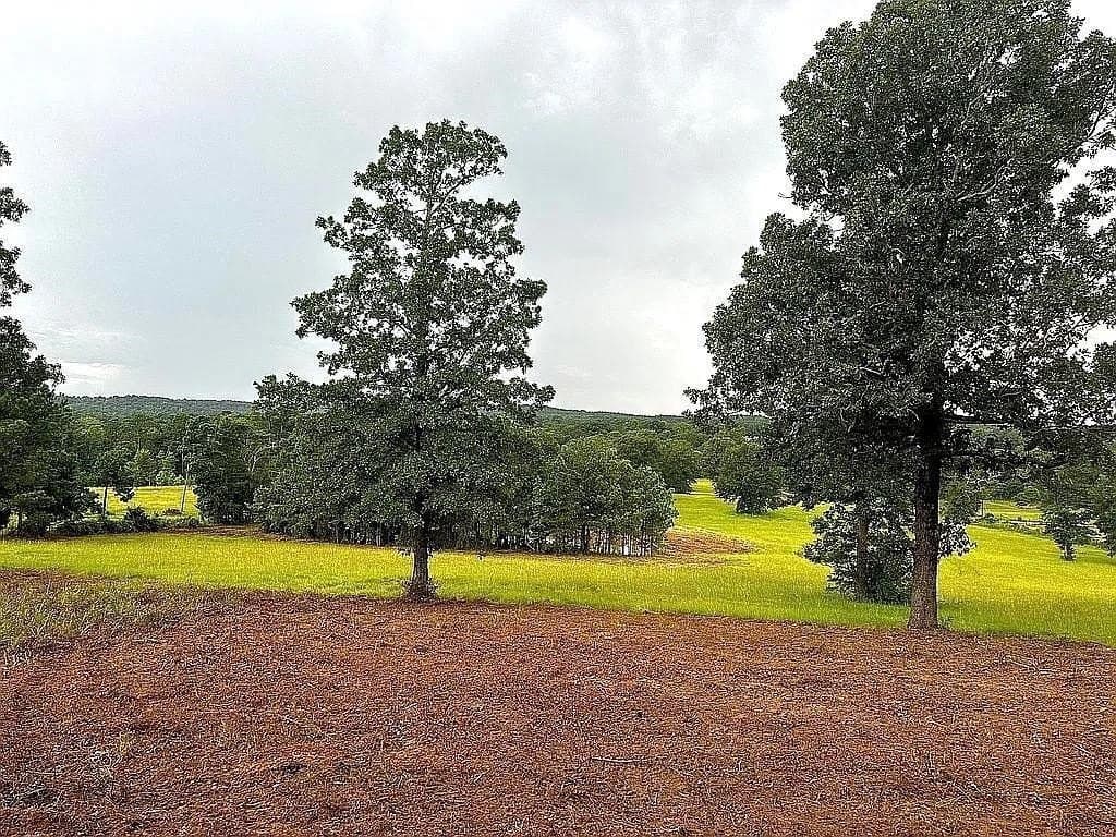 24 acres in Cherokee County - photo 20