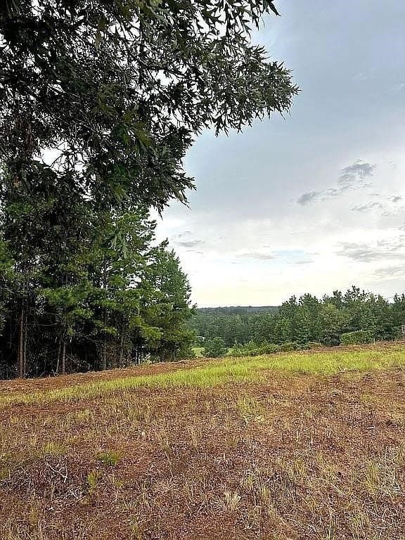 24 acres in Cherokee County - photo 23