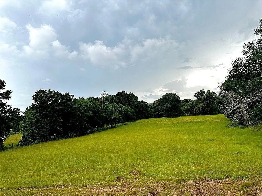 24 acres in Cherokee County - photo 14