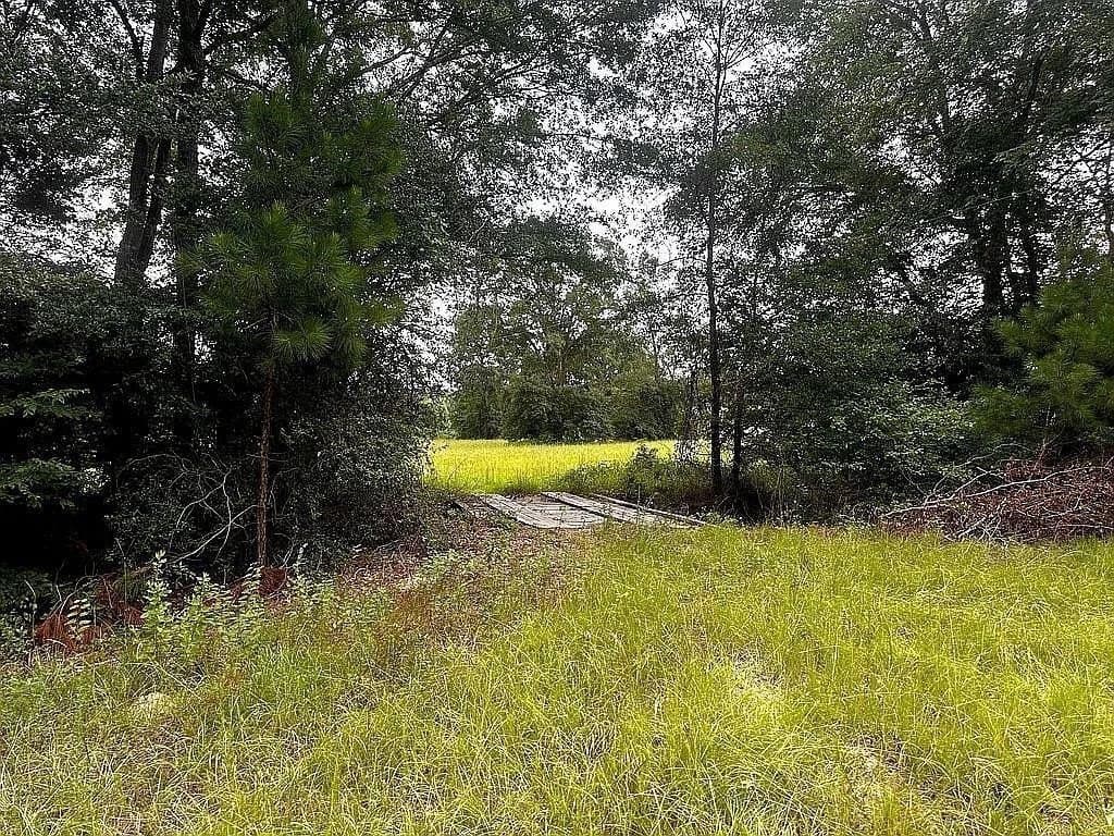 24 acres in Cherokee County - photo 11