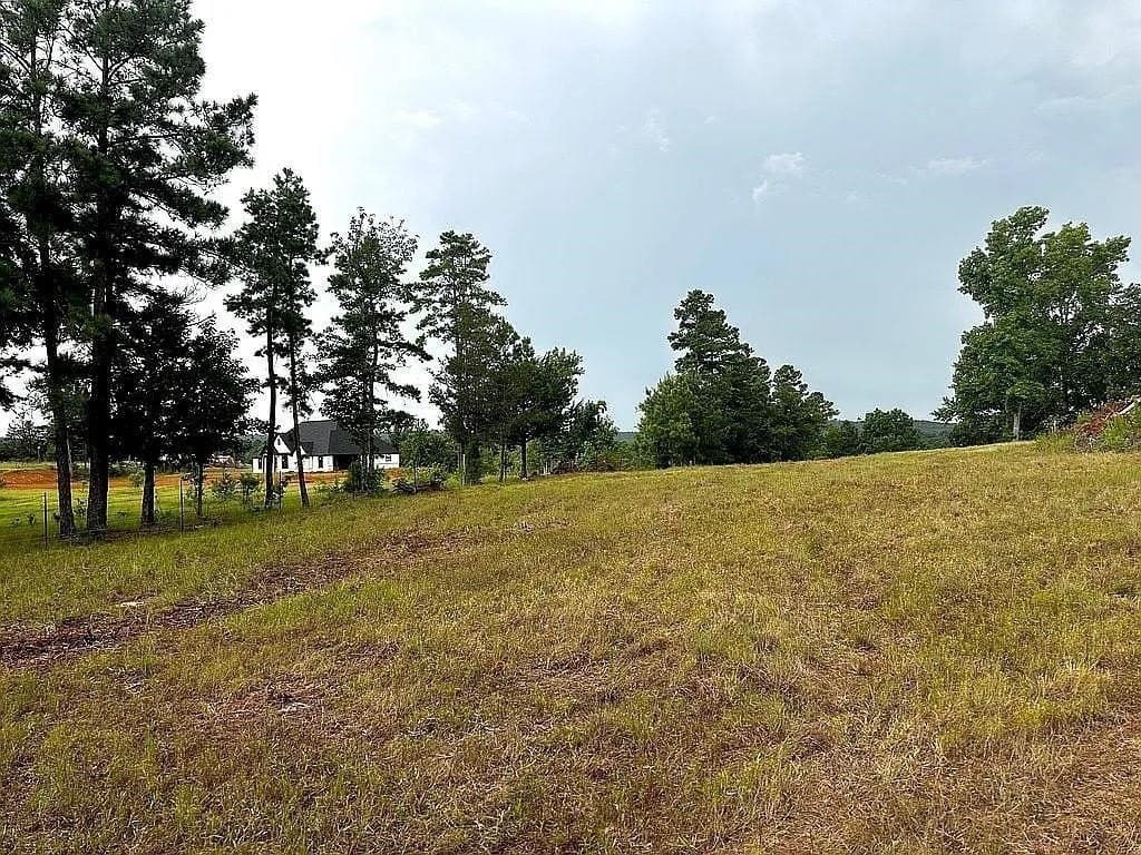 24 acres in Cherokee County - photo 29