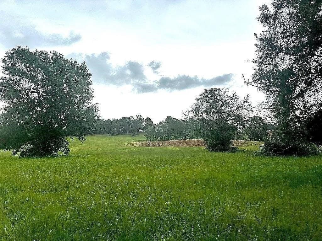 24 acres in Cherokee County - photo 27