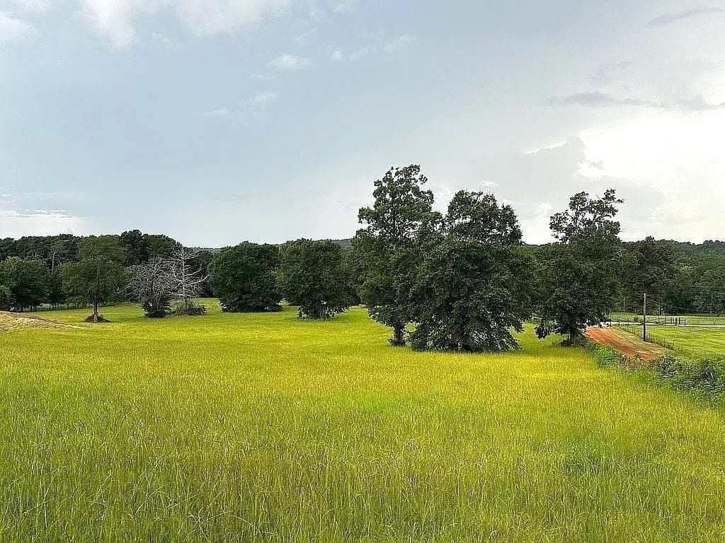 24 acres in Cherokee County - photo 22