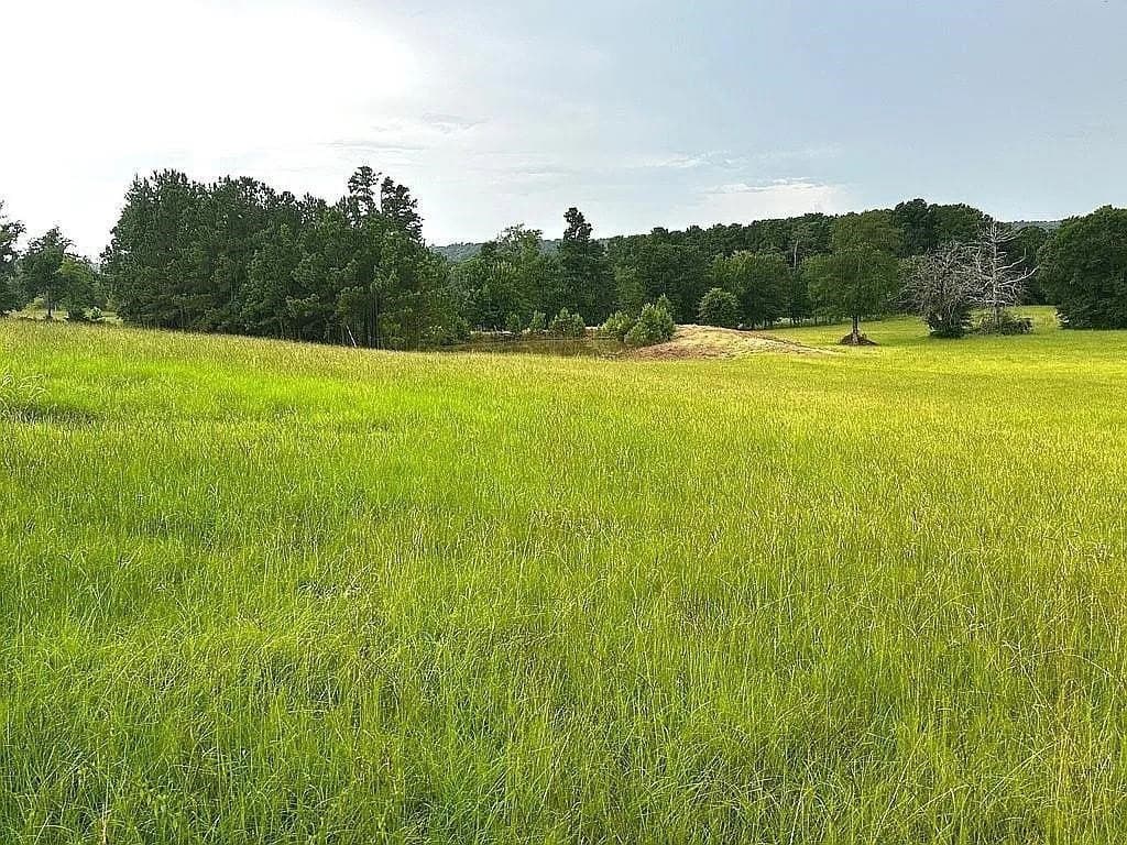 24 acres in Cherokee County - photo 3