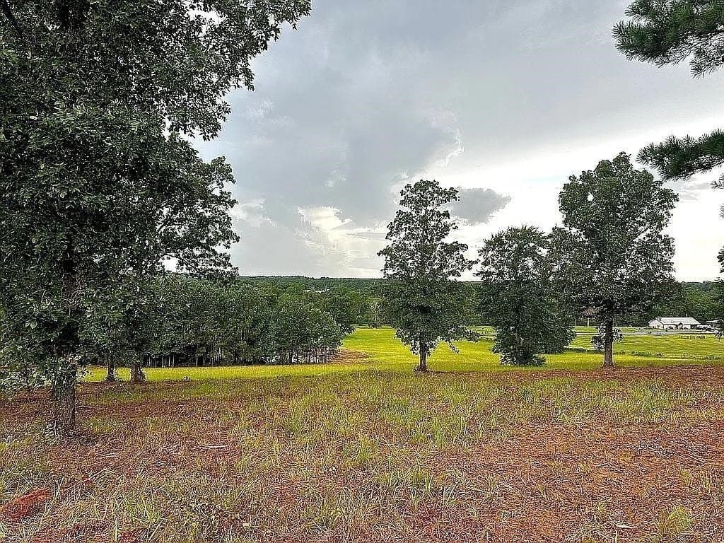 24 acres in Cherokee County - photo 16
