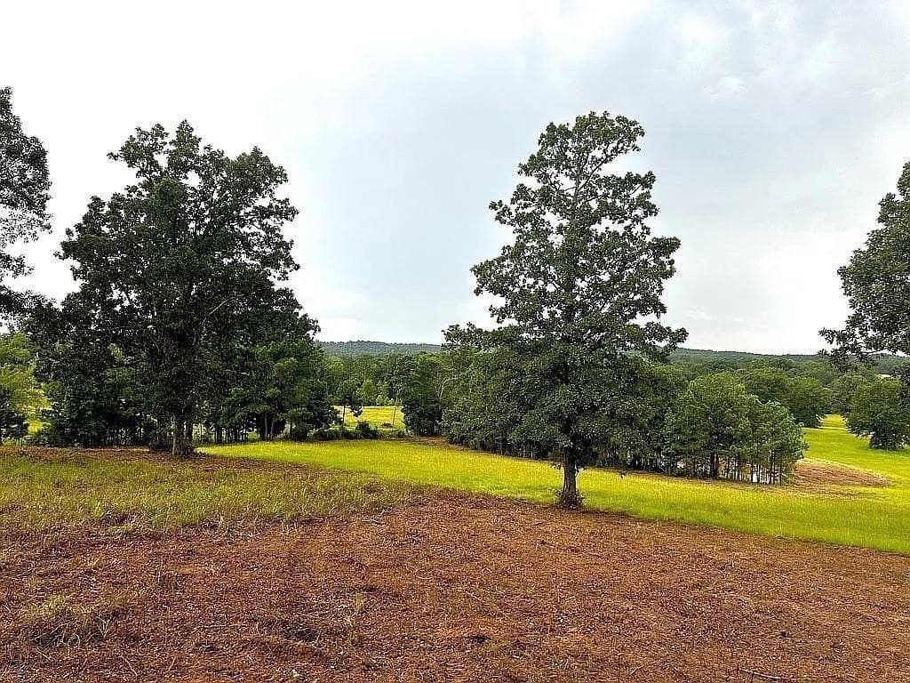 24 acres in Cherokee County - photo 12