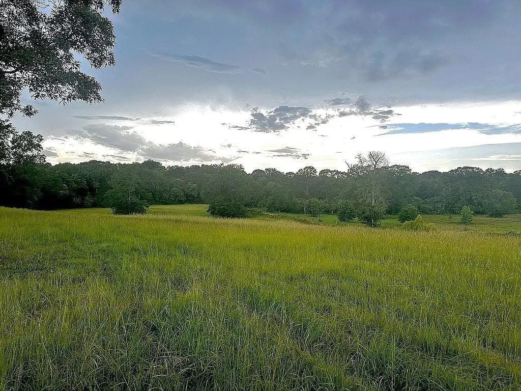 24 acres in Cherokee County - photo 9