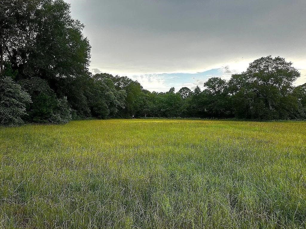 24 acres in Cherokee County - photo 15