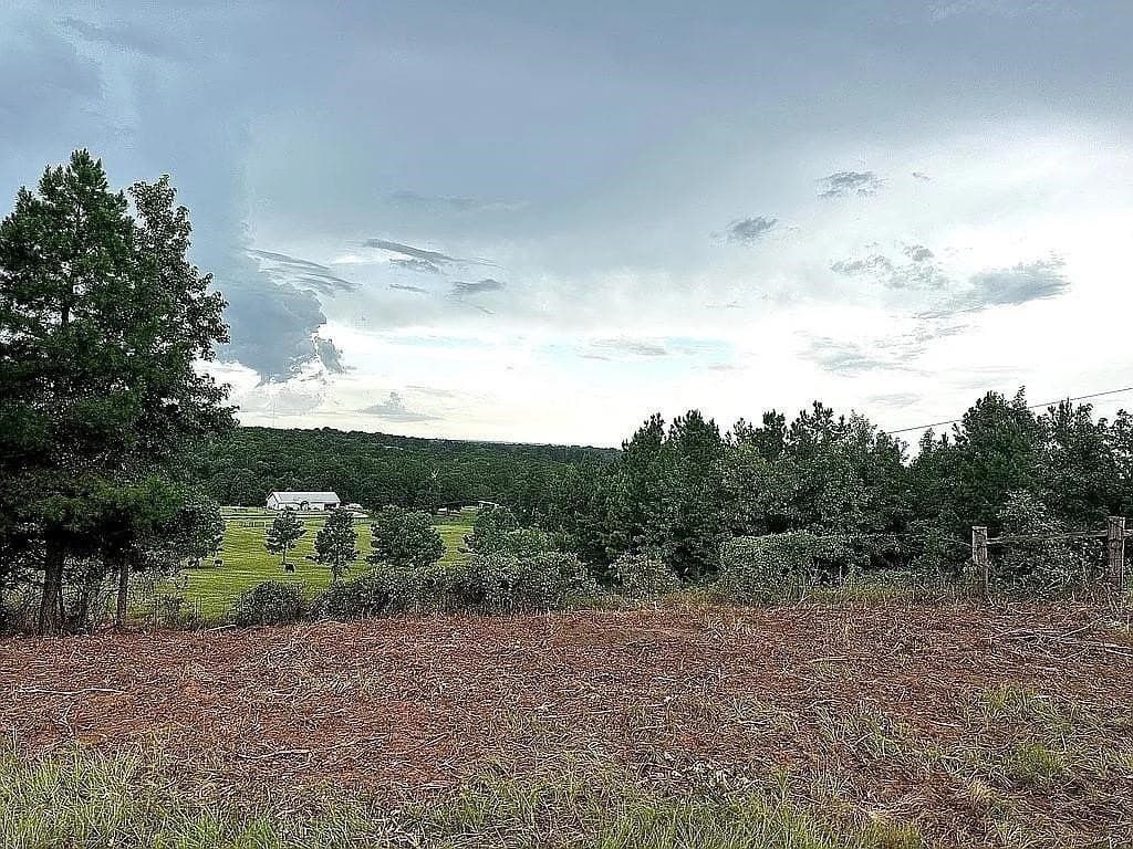 24 acres in Cherokee County - photo 28