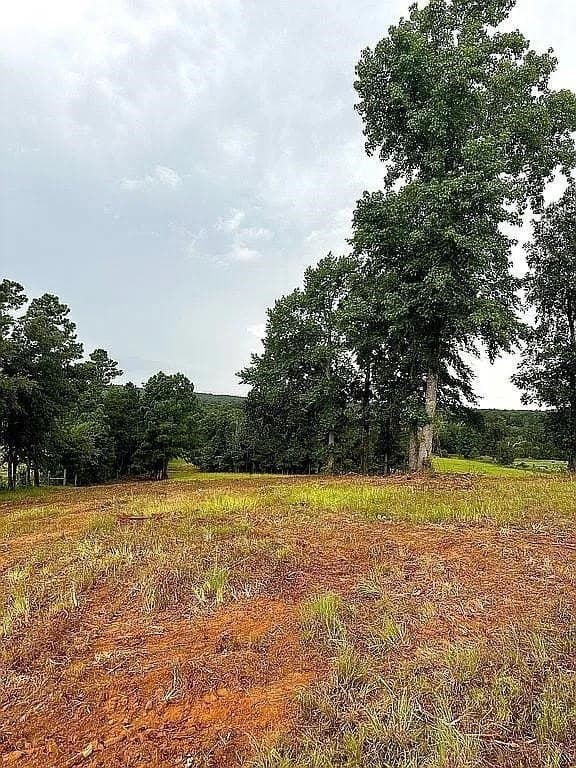 24 acres in Cherokee County - photo 7
