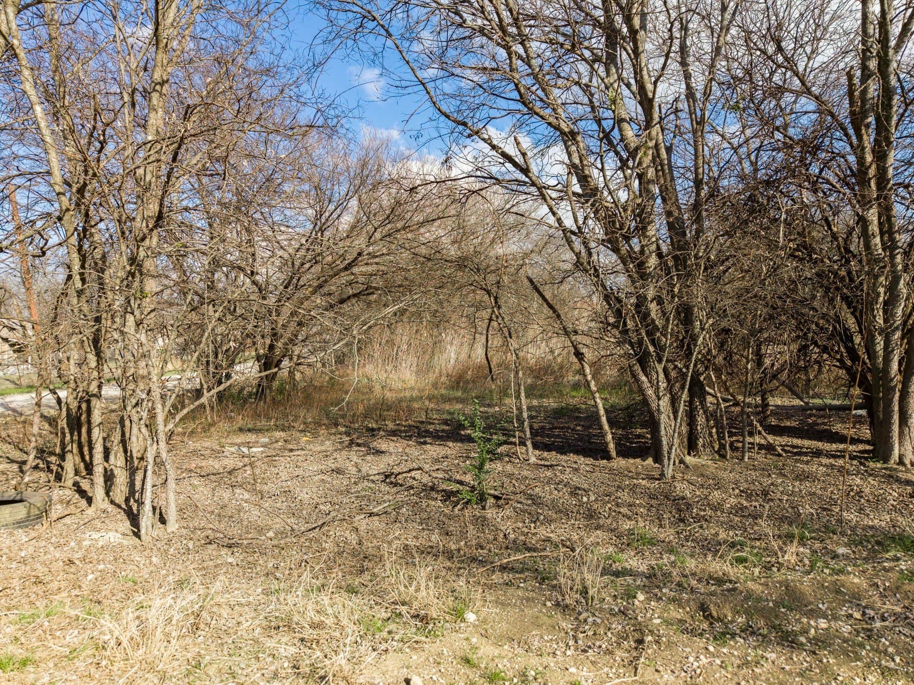 0.67 acres in Hill County - photo 4
