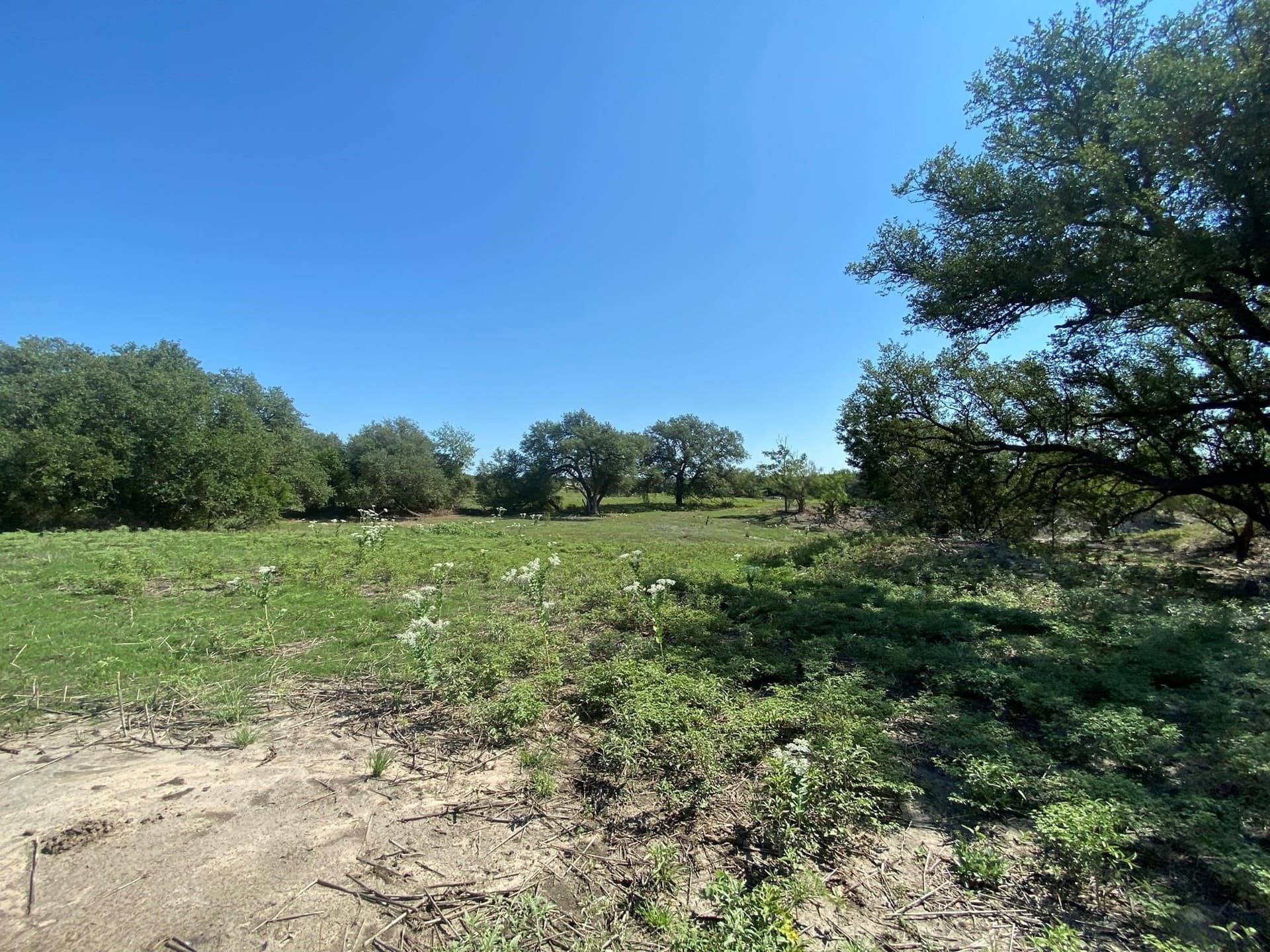 28 acres in Mills County - photo 6