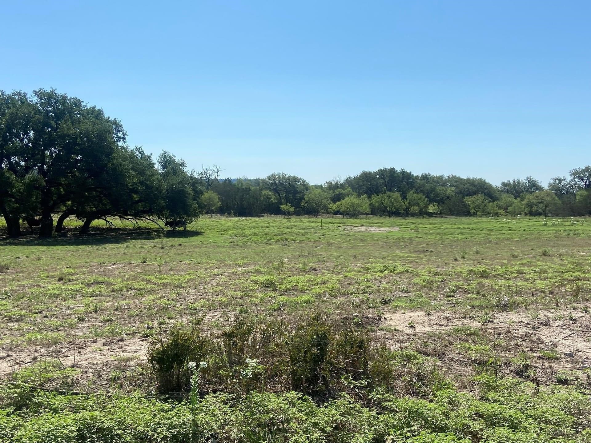 28 acres in Mills County - photo 5