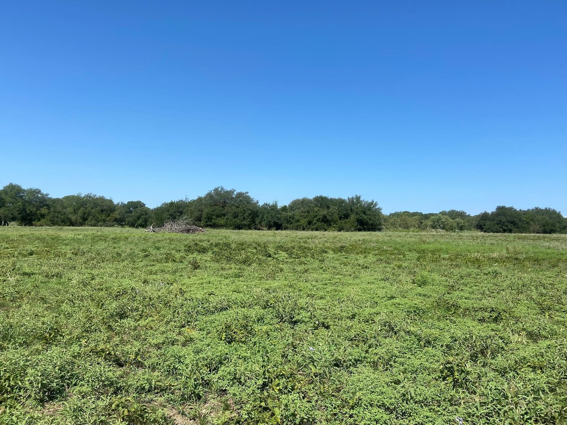28 acres in Mills County - photo 7