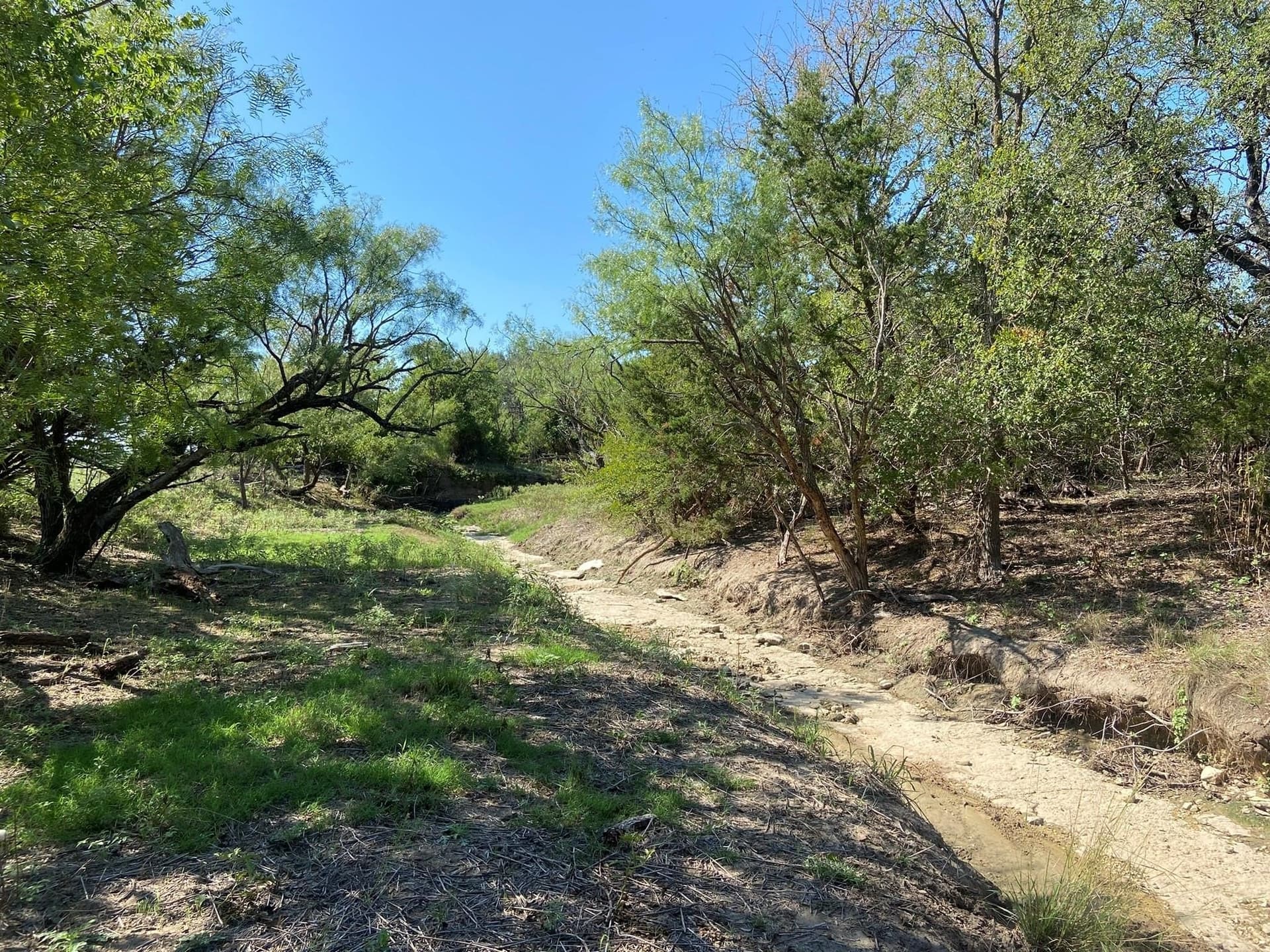 28 acres in Mills County - photo 4