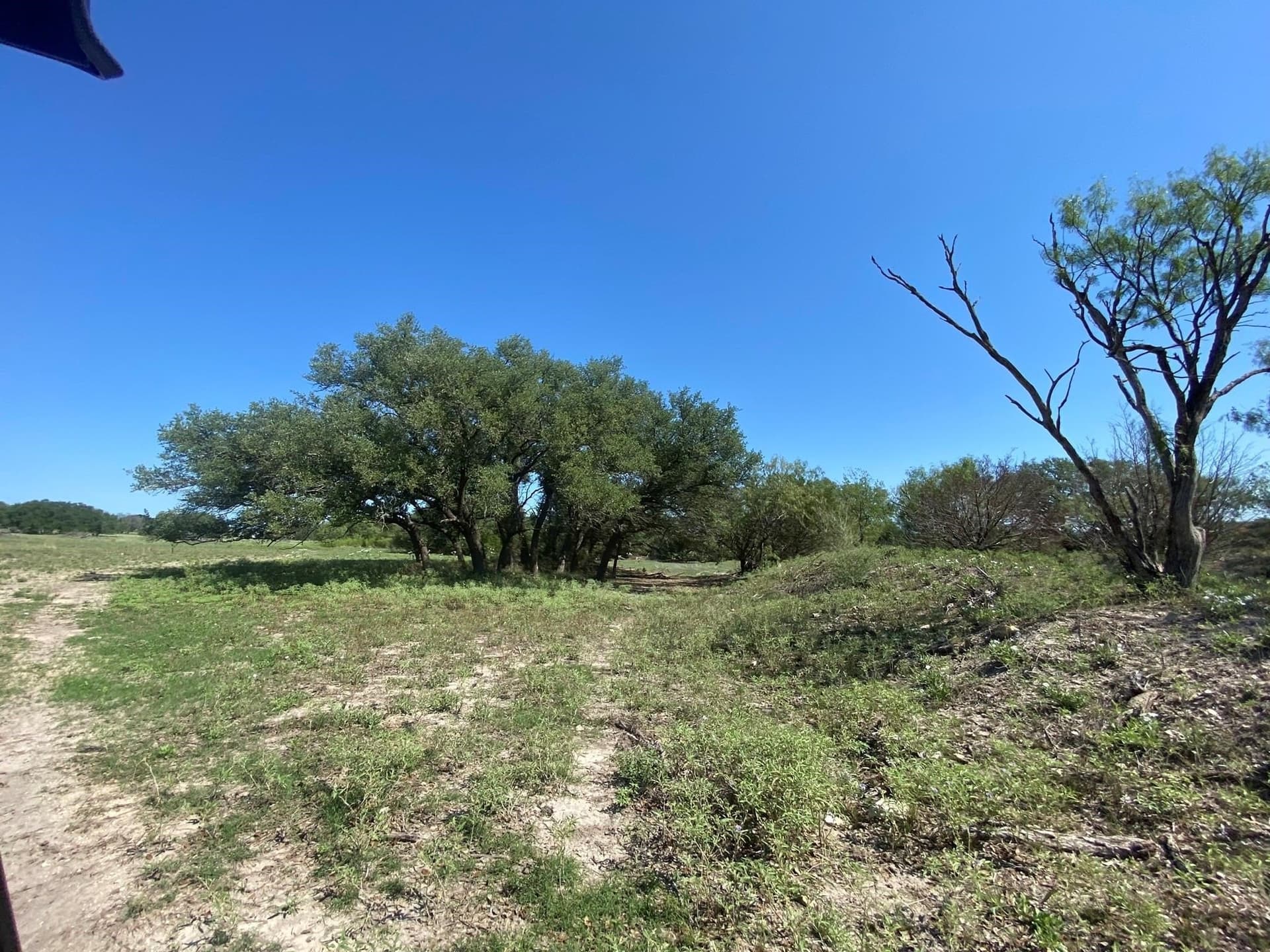 28 acres in Mills County - photo 8