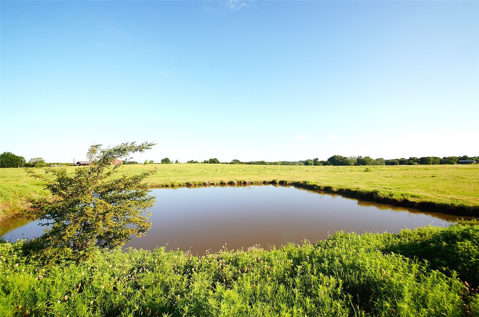 24.51 acres in Grayson County gallery image 2