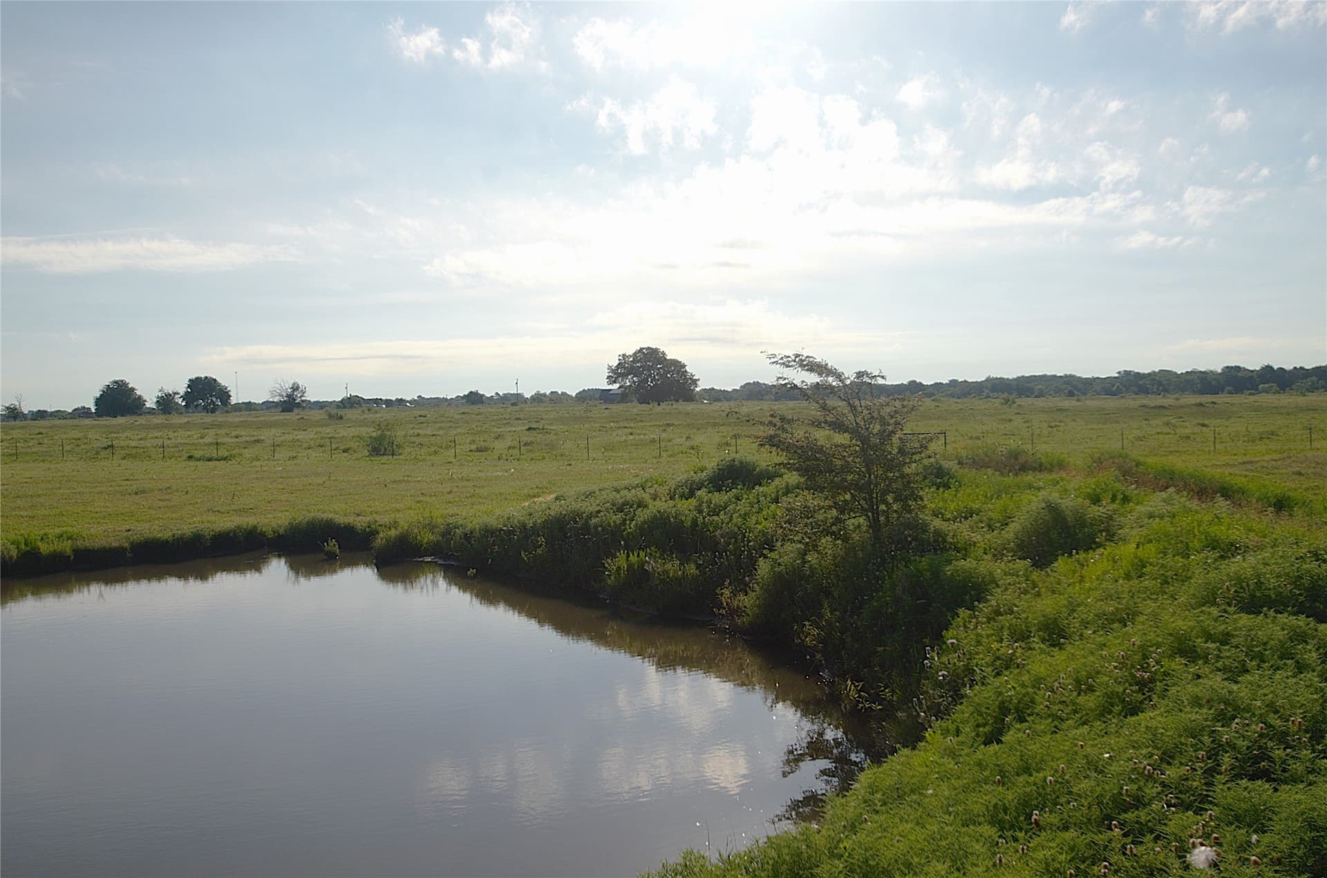 24.51 acres in Grayson County gallery image 3