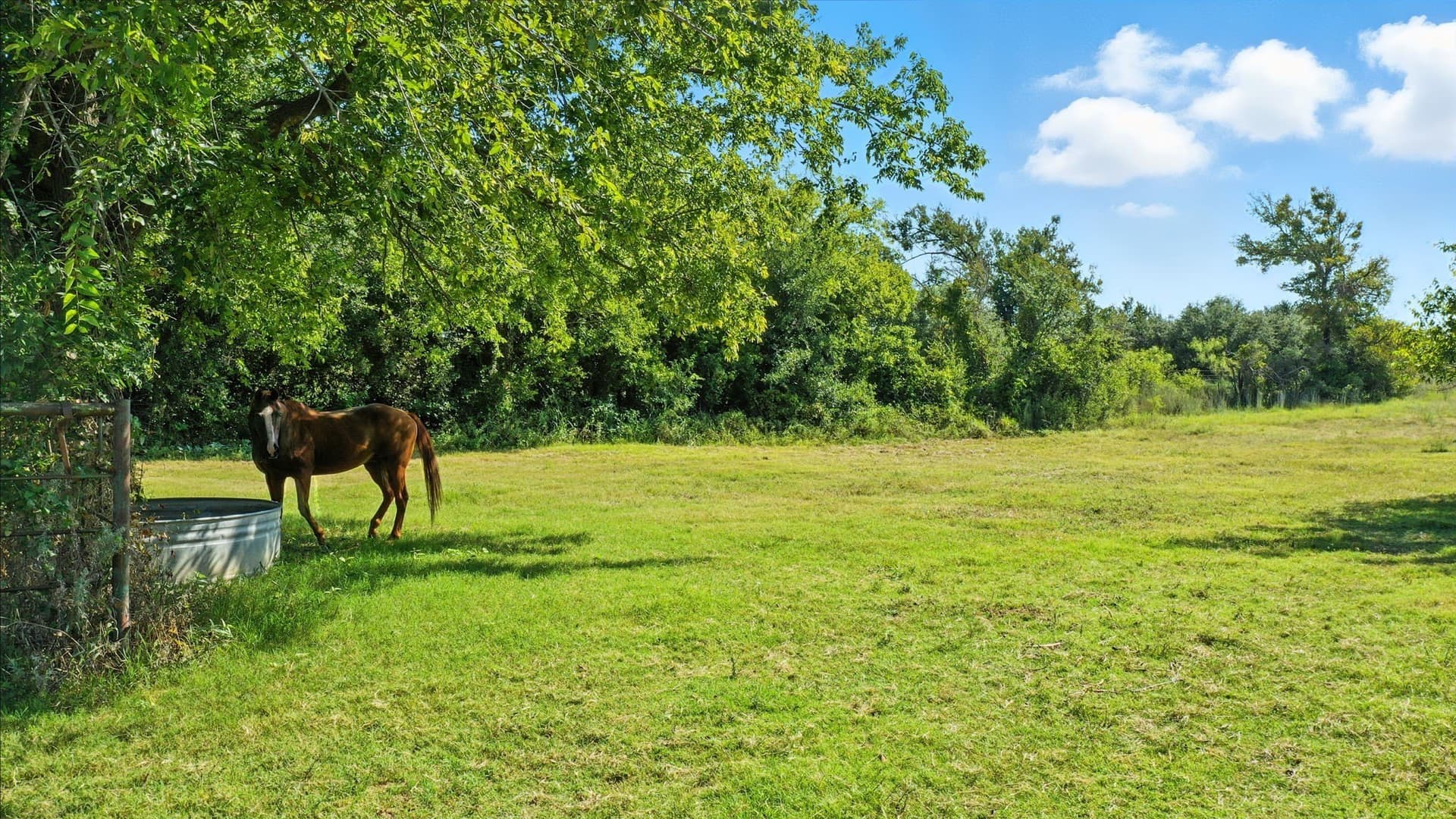 21.25 acres in Erath County - photo 38