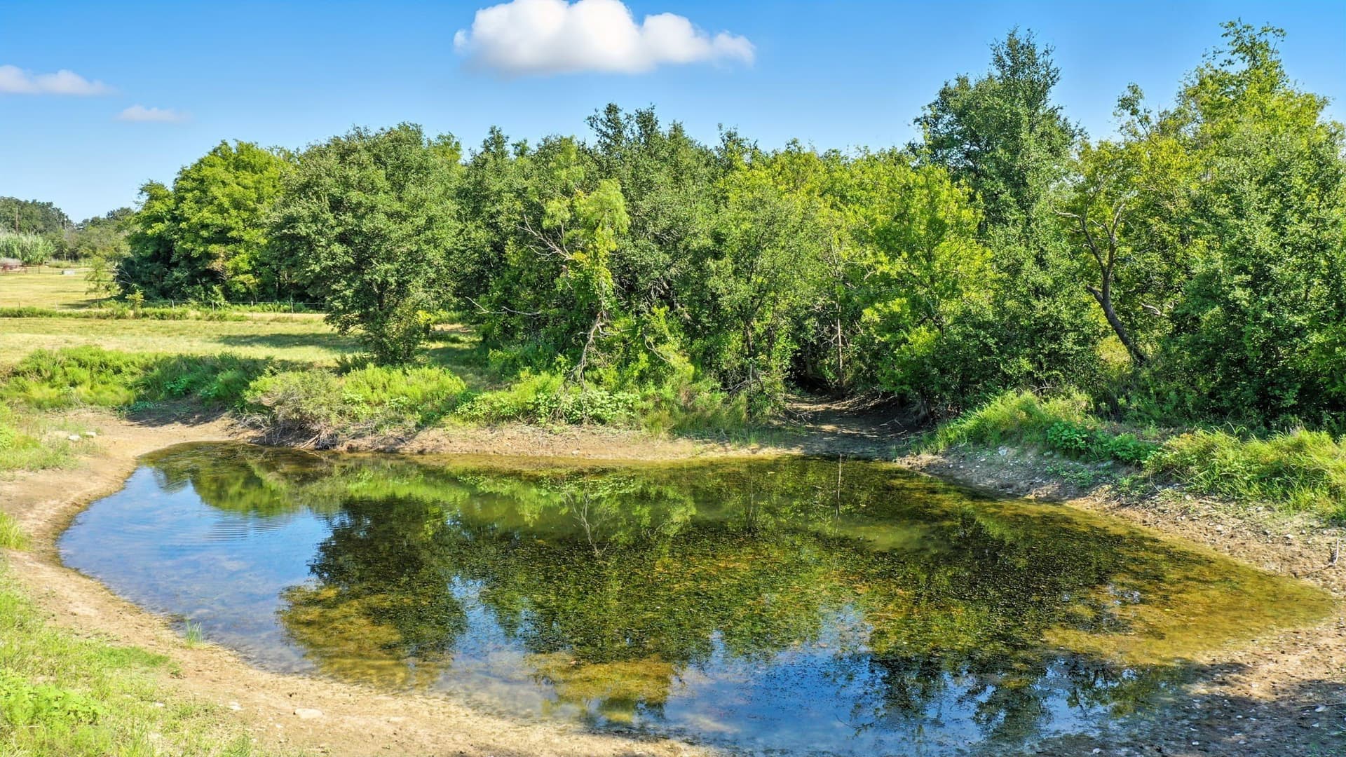 21.25 acres in Erath County - photo 29