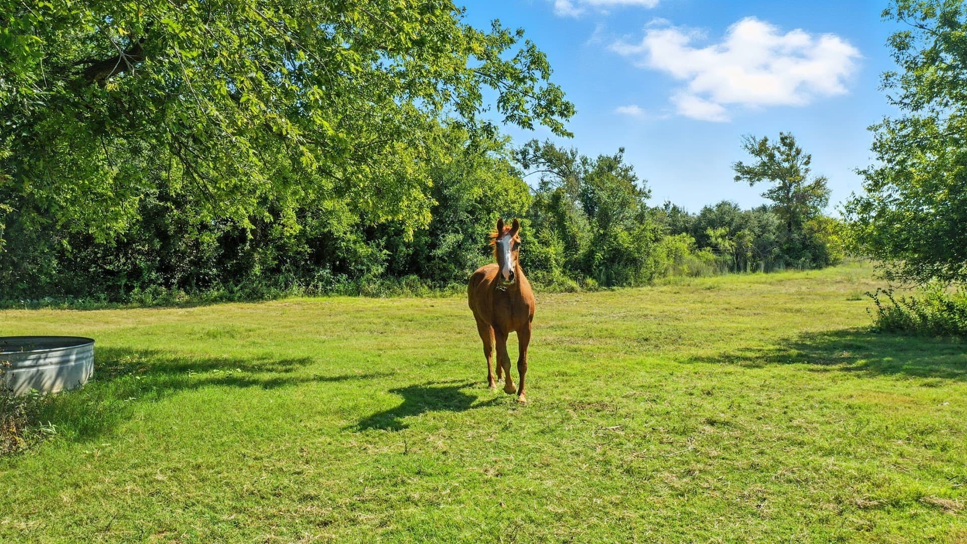 21.25 acres in Erath County - photo 39