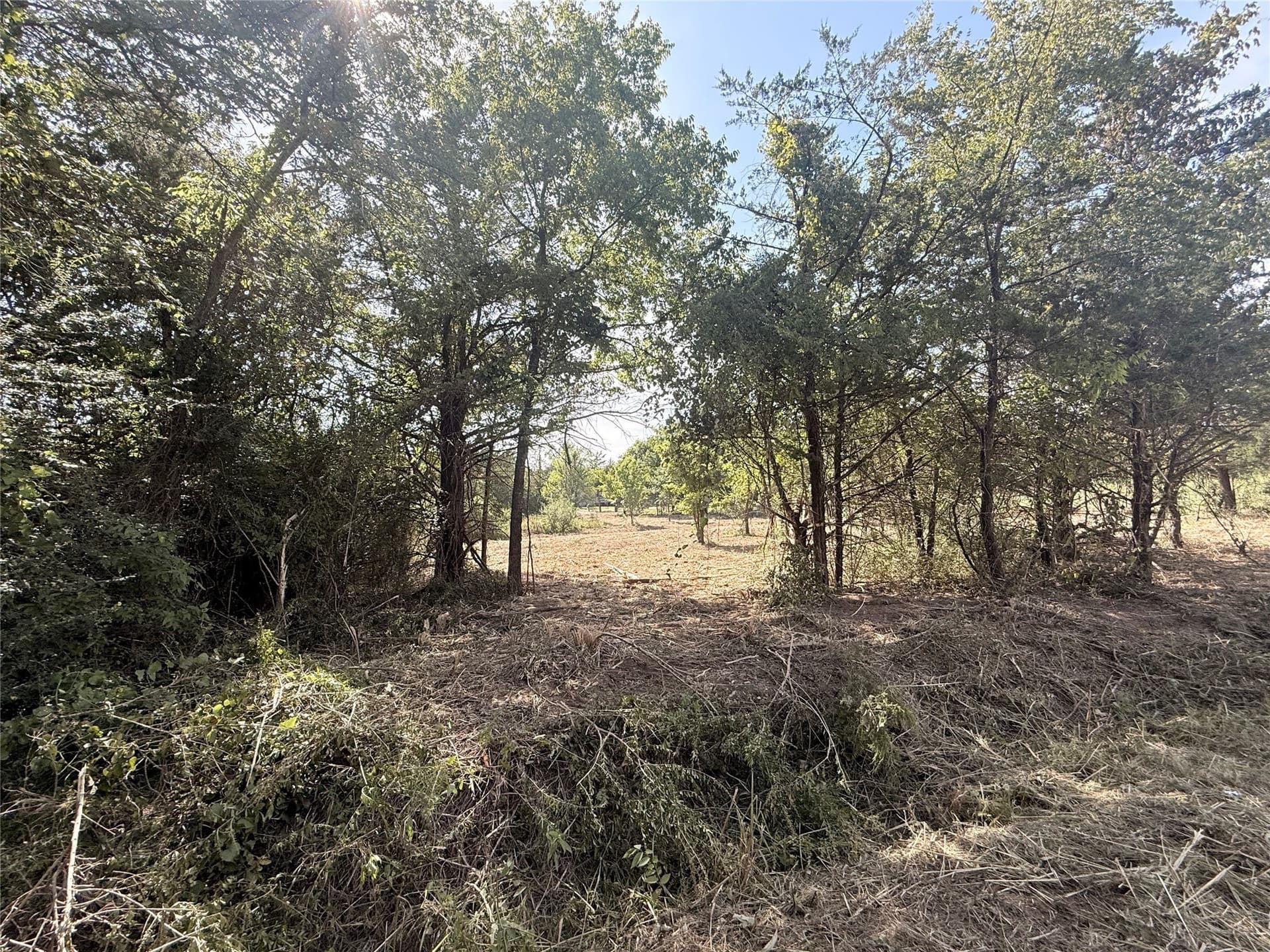 0.34 acres in Grayson County - photo 2