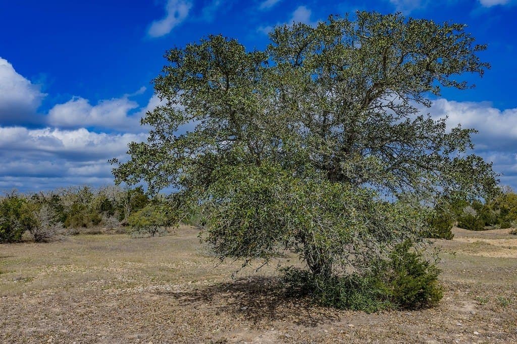 74.5 acres in Fayette County - photo 16