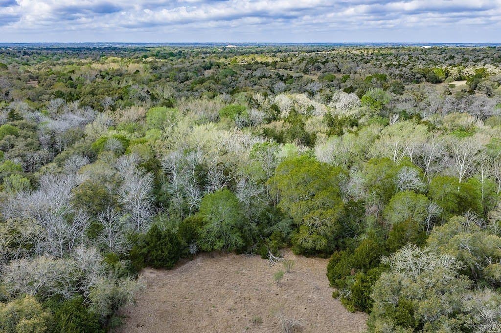 74.5 acres in Fayette County - photo 10