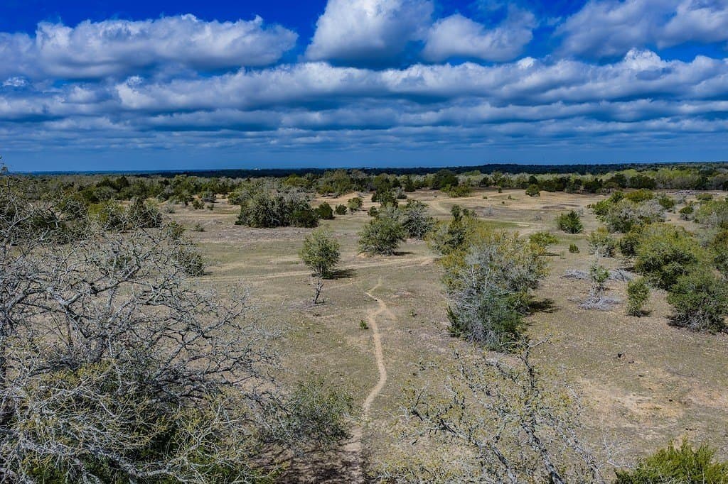 74.5 acres in Fayette County - photo 12