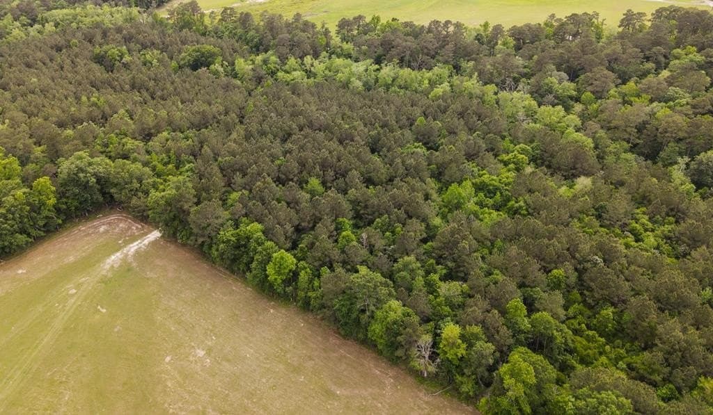 19.5 acres in Texas County - photo 12