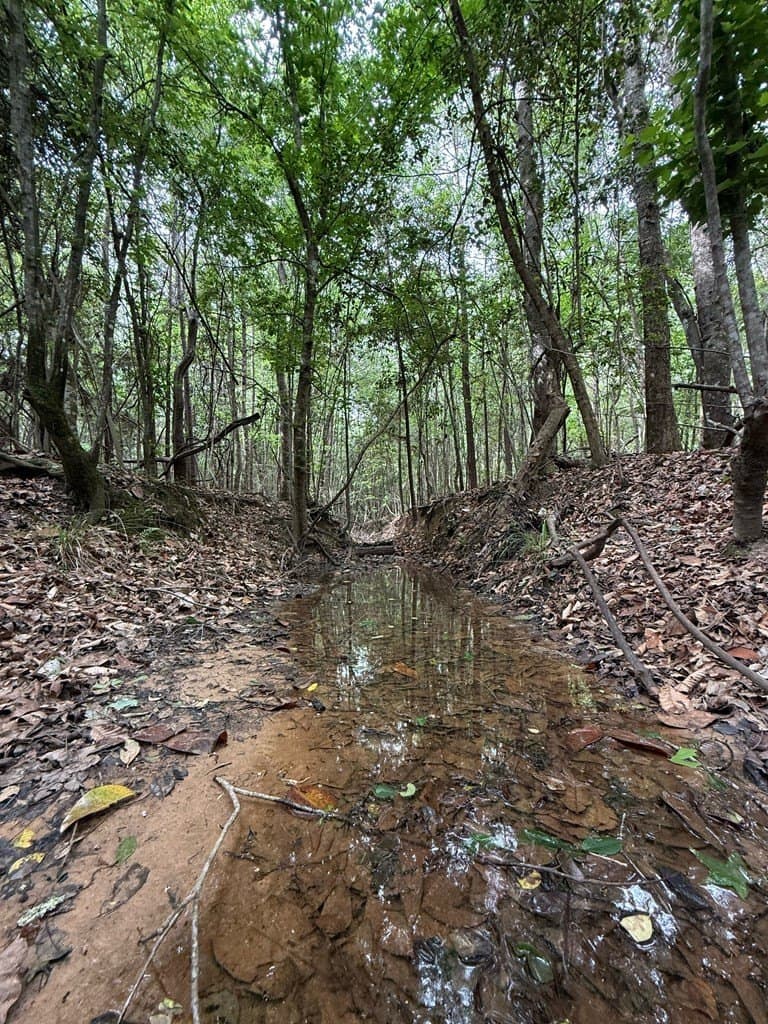 19.5 acres in Texas County gallery image 3