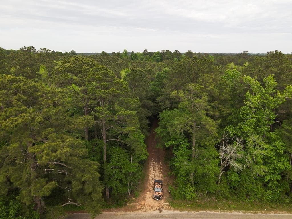 19.5 acres in Texas County - photo 11