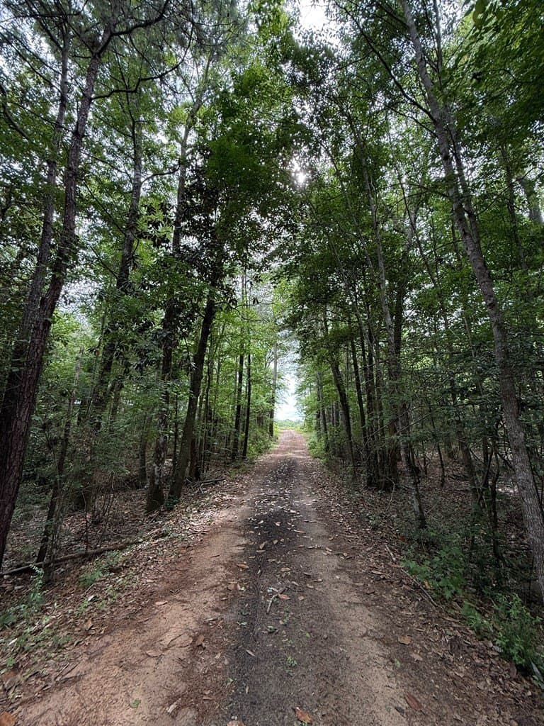 19.5 acres in Texas County featured view