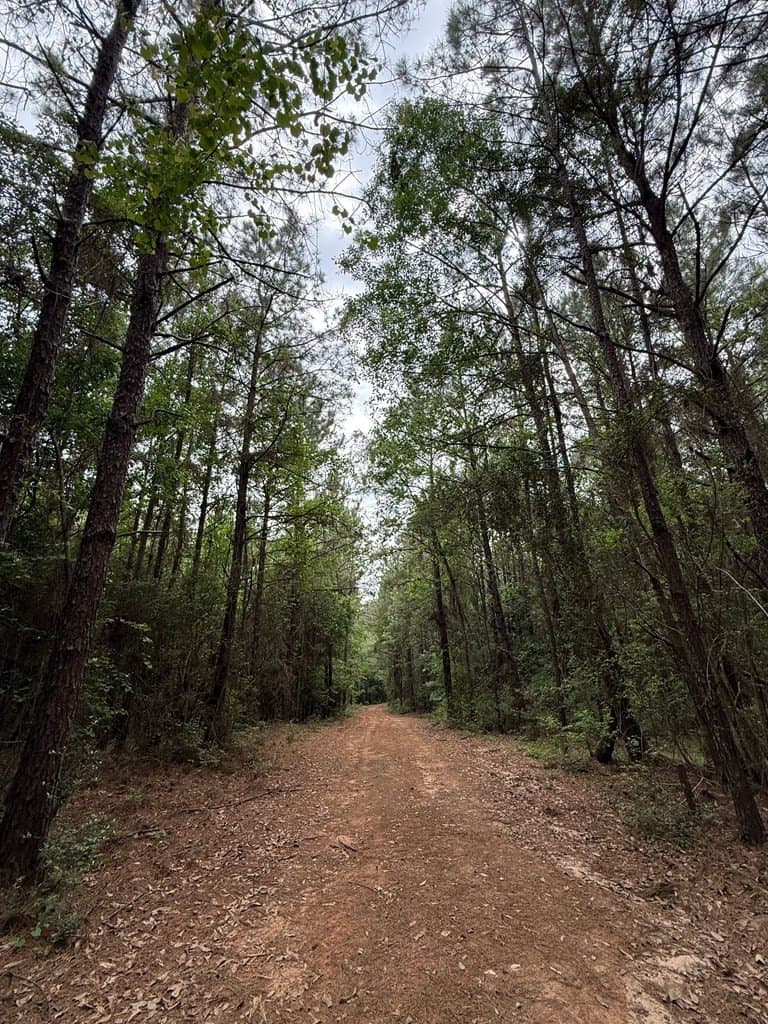19.5 acres in Texas County - photo 8