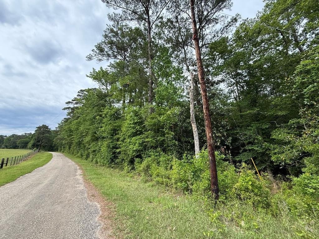 19.5 acres in Texas County gallery image 2