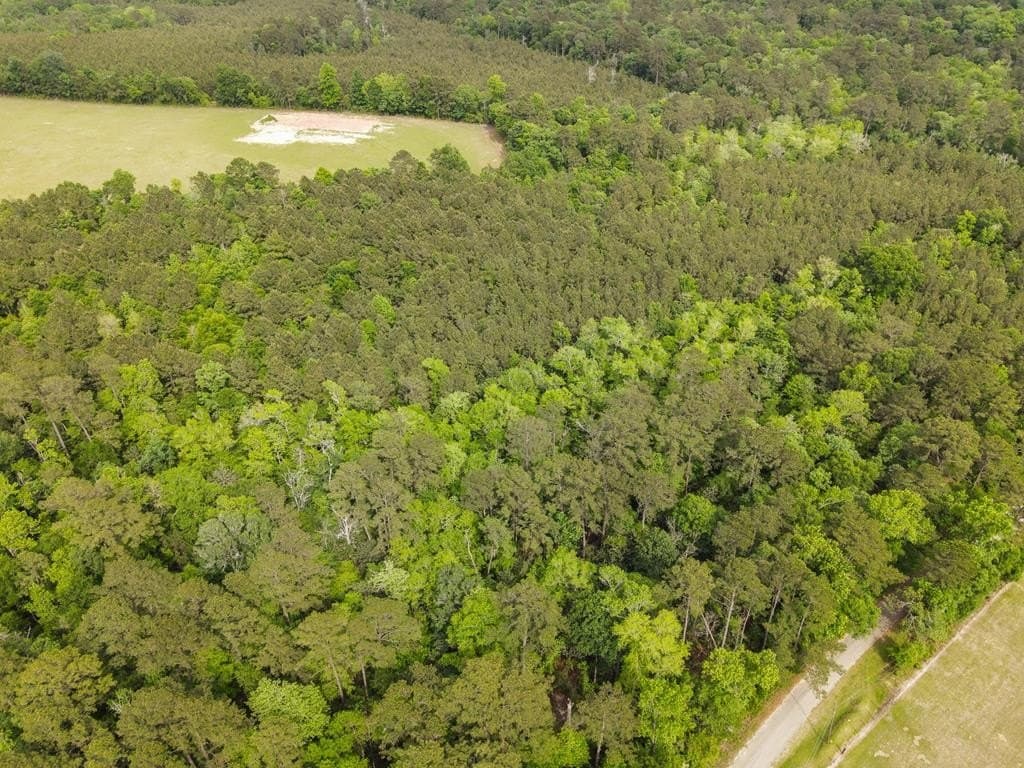 19.5 acres in Texas County - photo 14
