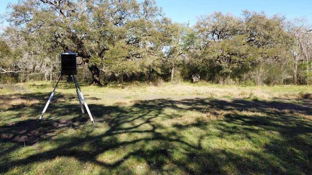 100 acres in Angleton County - photo 8