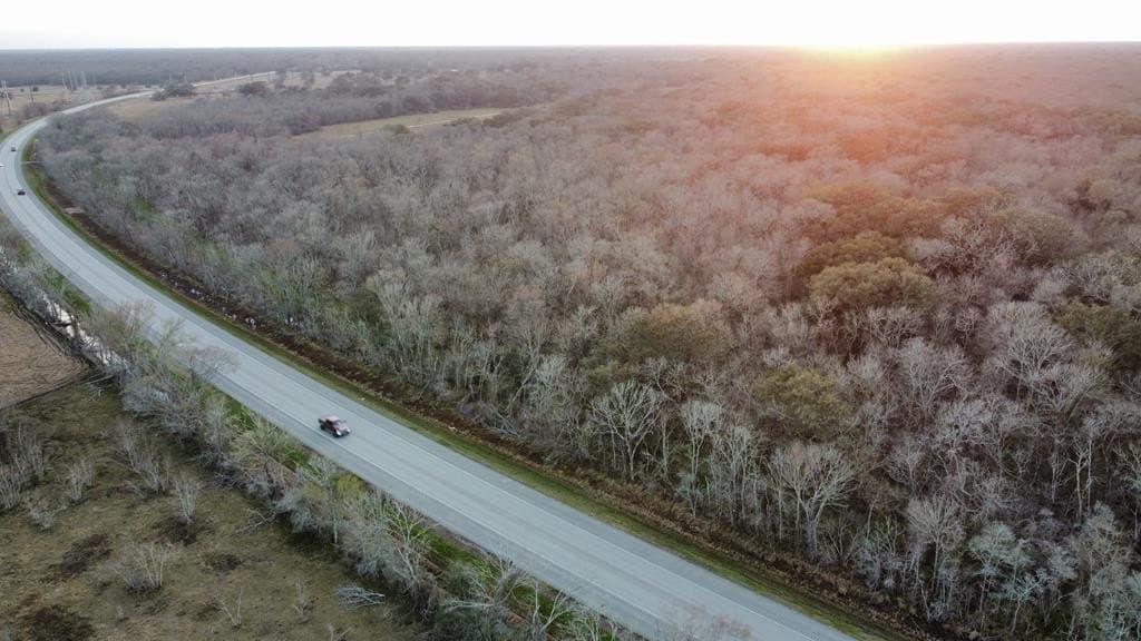 100 acres in Angleton County - photo 21