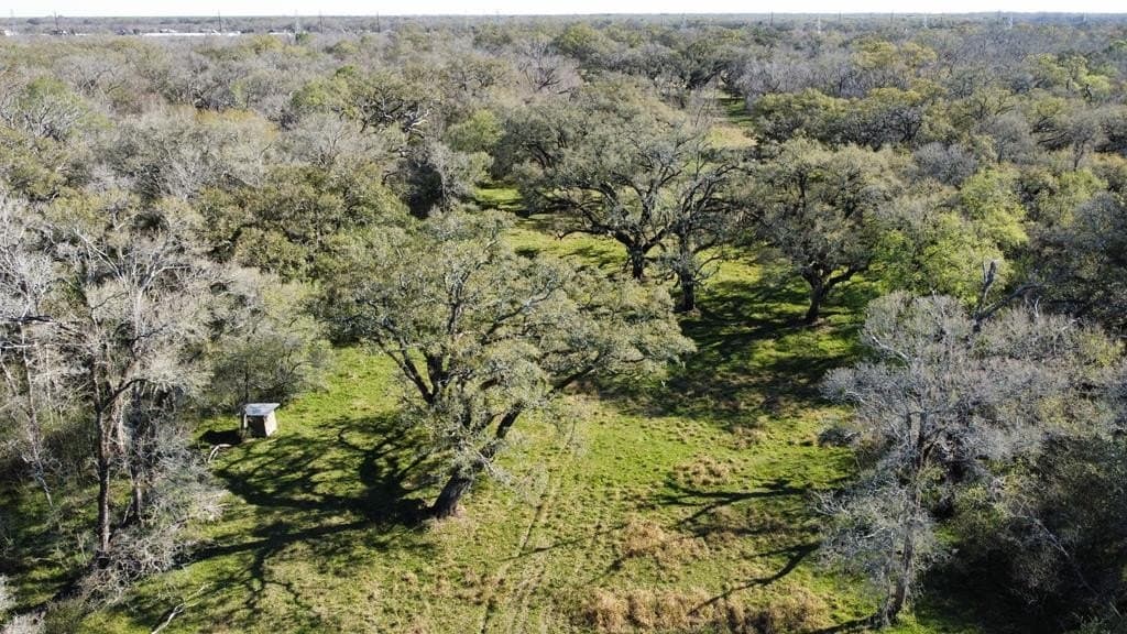 100 acres in Angleton County - photo 20