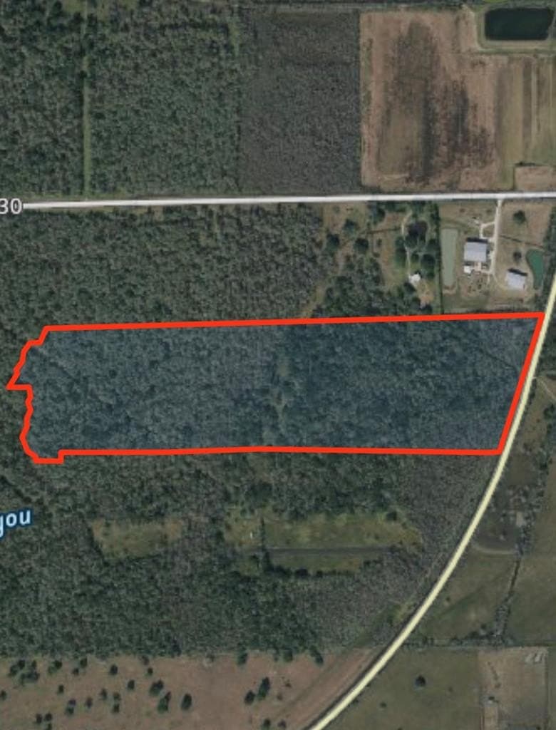 100 acres in Angleton County - photo 26