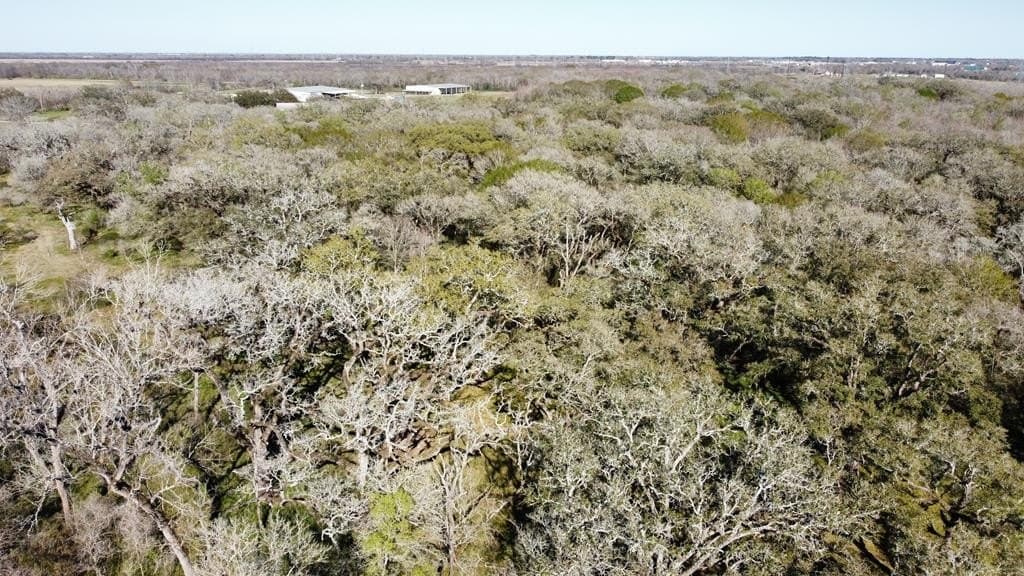 100 acres in Angleton County - photo 18