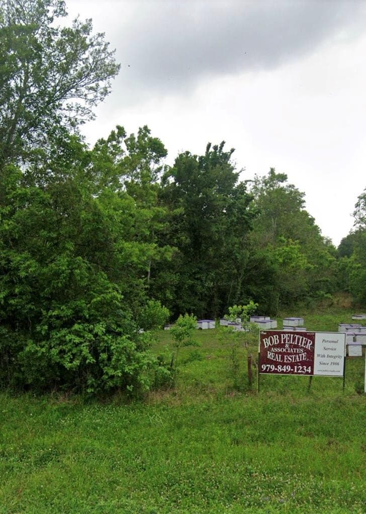 100 acres in Angleton County - photo 23