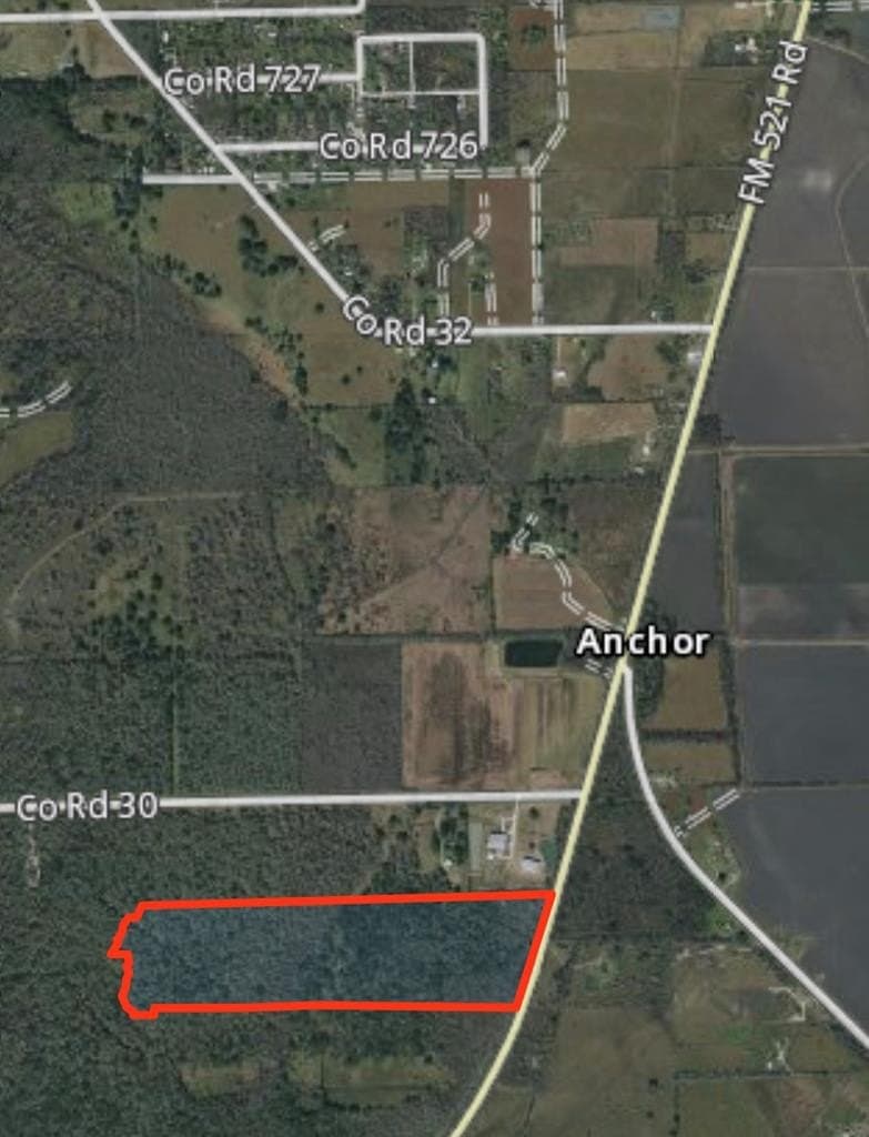 100 acres in Angleton County - photo 24