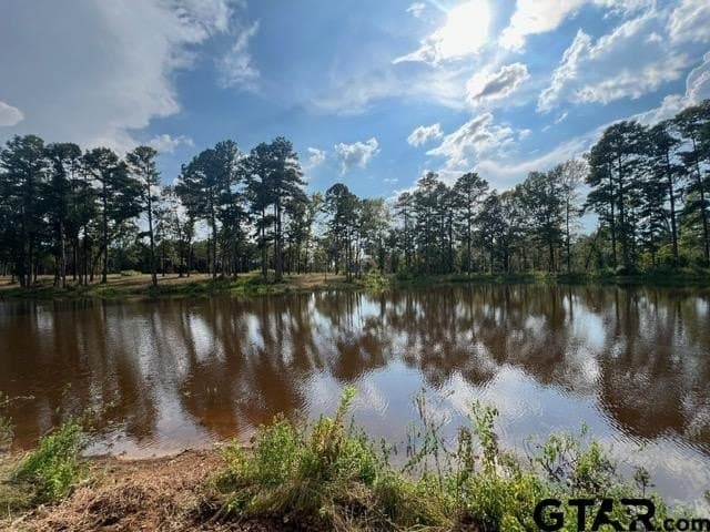 37 acres in Gregg County - photo 36