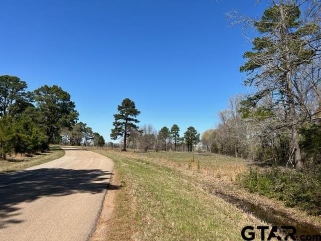 37 acres in Gregg County - photo 15