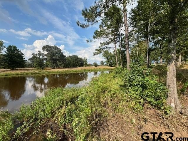 37 acres in Gregg County - photo 30