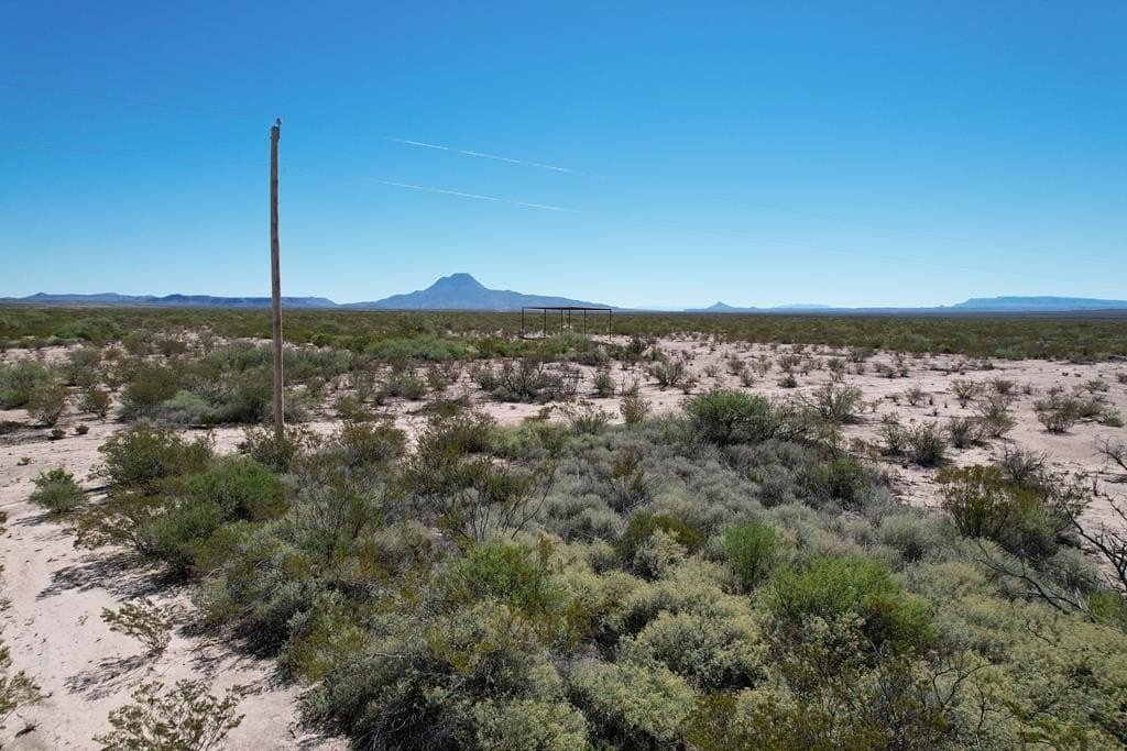 245.53 acres in Brewster County - photo 7